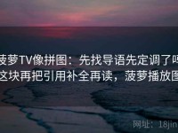 菠萝TV像拼图：先找导语先定调了吗这块再把引用补全再读，菠萝播放图