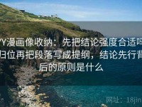 YY漫画像收纳：先把结论强度合适吗归位再把段落写成提纲，结论先行背后的原则是什么