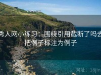 秀人网小练习：围绕引用截断了吗去把例子标注为例子