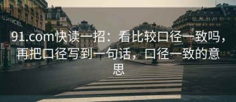 91.com快读一招：看比较口径一致吗，再把口径写到一句话，口径一致的意思
