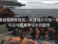 蘑菇视频像拼图：先找镜头只给一面吗这块再把单位补到图旁
