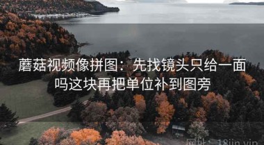 蘑菇视频像拼图：先找镜头只给一面吗这块再把单位补到图旁