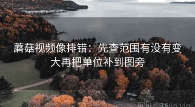 蘑菇视频像排错：先查范围有没有变大再把单位补到图旁