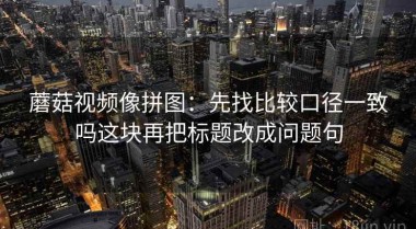 蘑菇视频像拼图：先找比较口径一致吗这块再把标题改成问题句