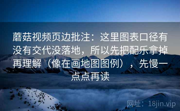 蘑菇视频页边批注：这里图表口径有没有交代没落地，所以先把配乐拿掉再理解（像在画地图图例），先慢一点点再读